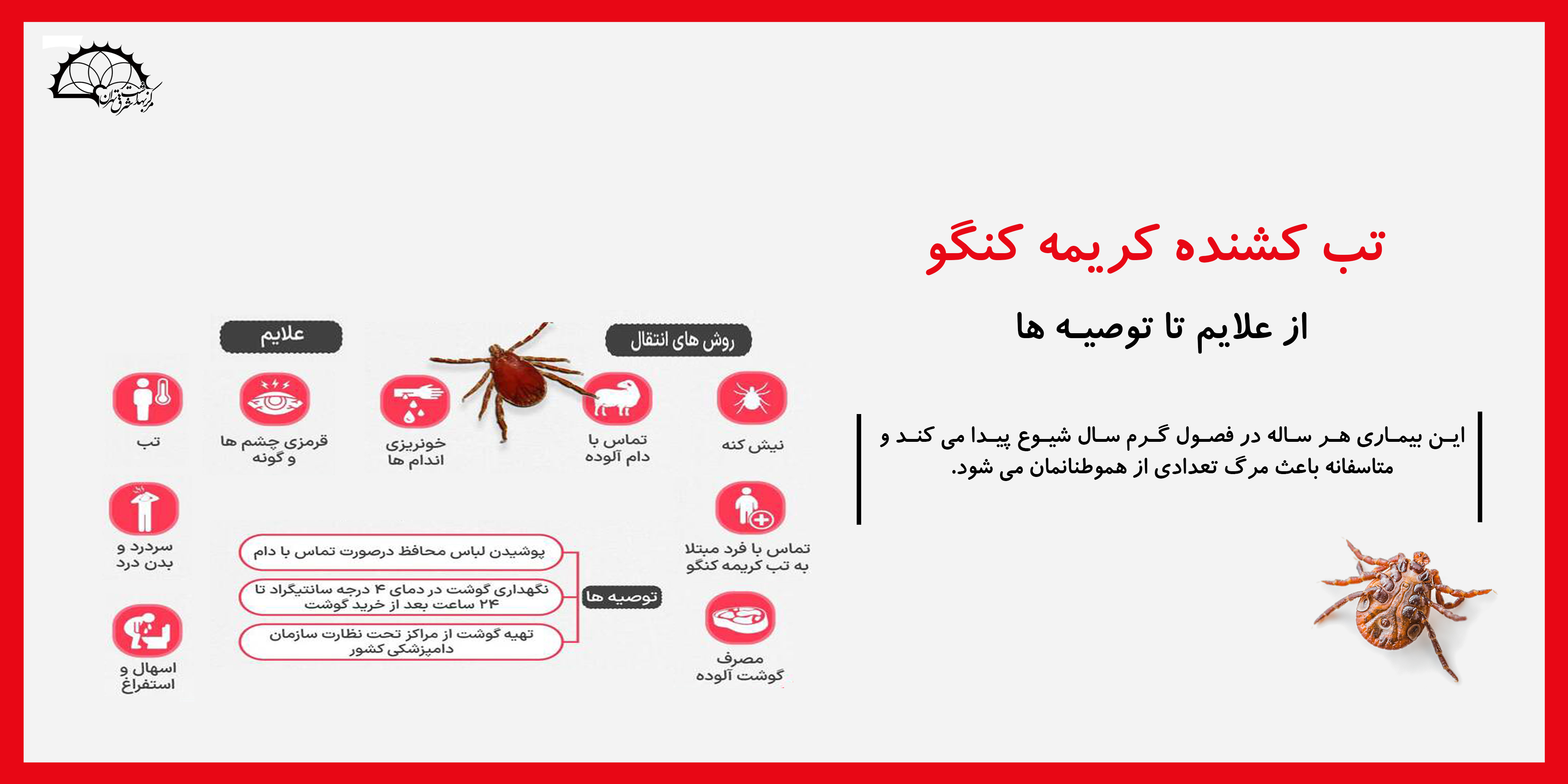 تب کریمه کنگو